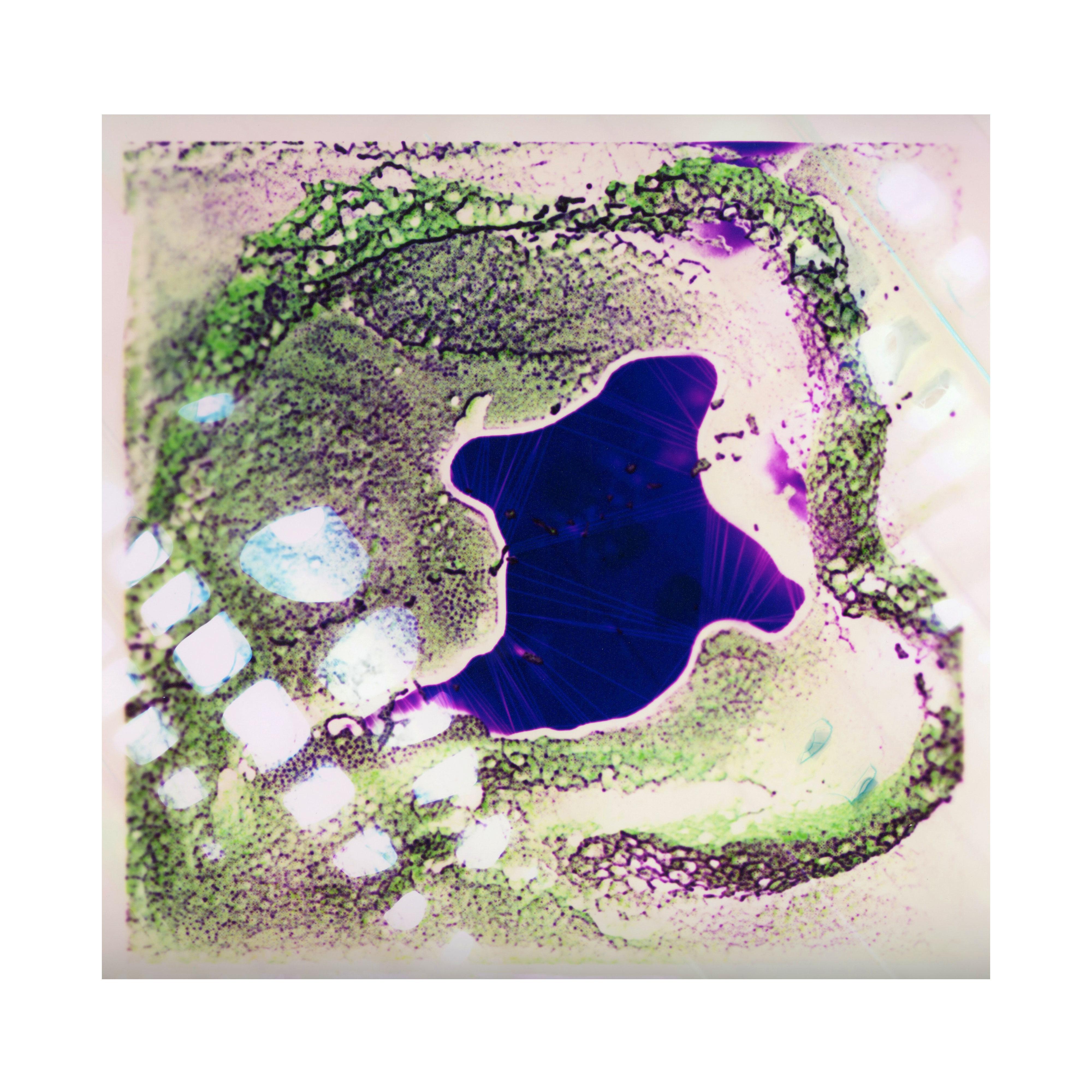 Speed-Rush Cut-Up Shamanic Meat Delirium