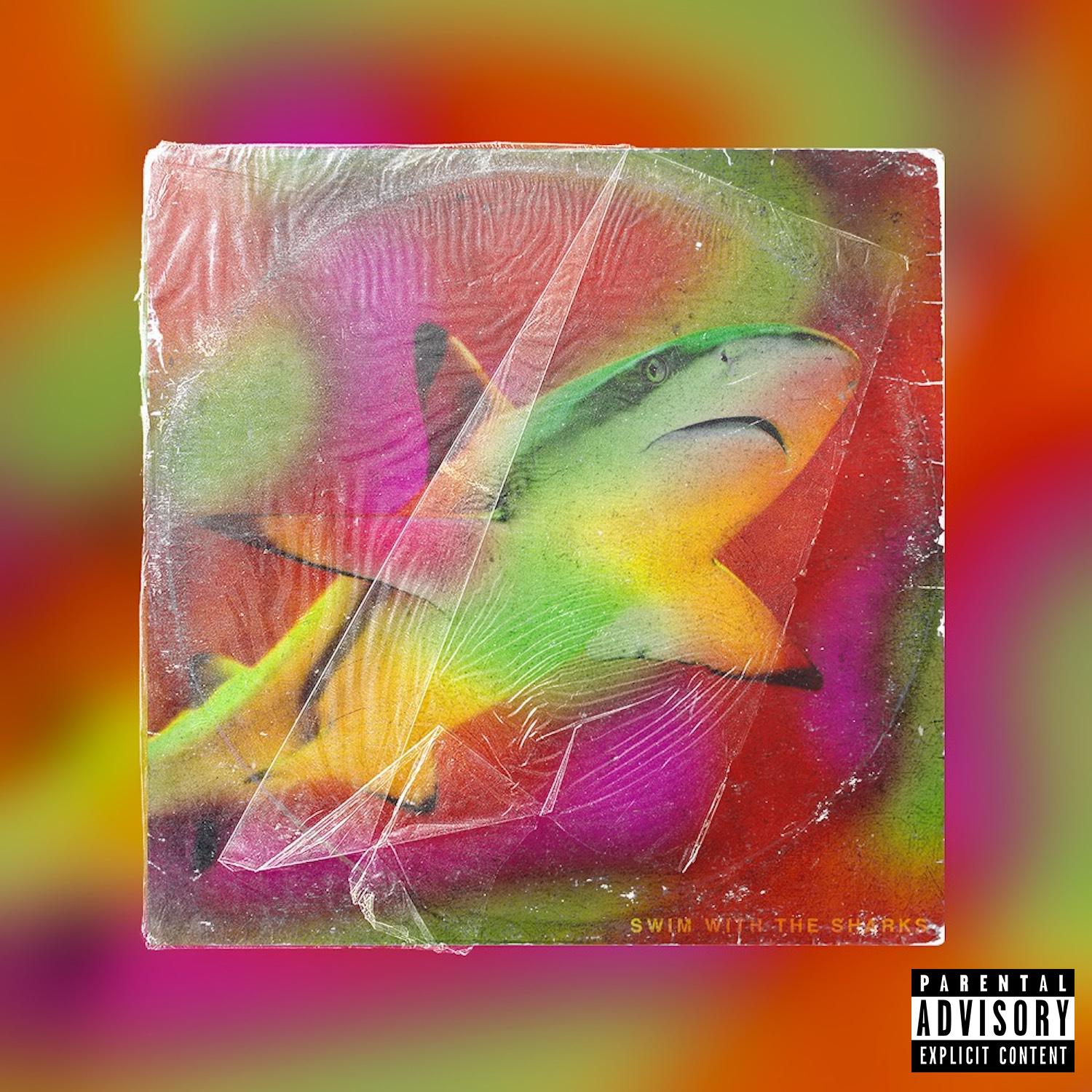 Swim With The Sharks