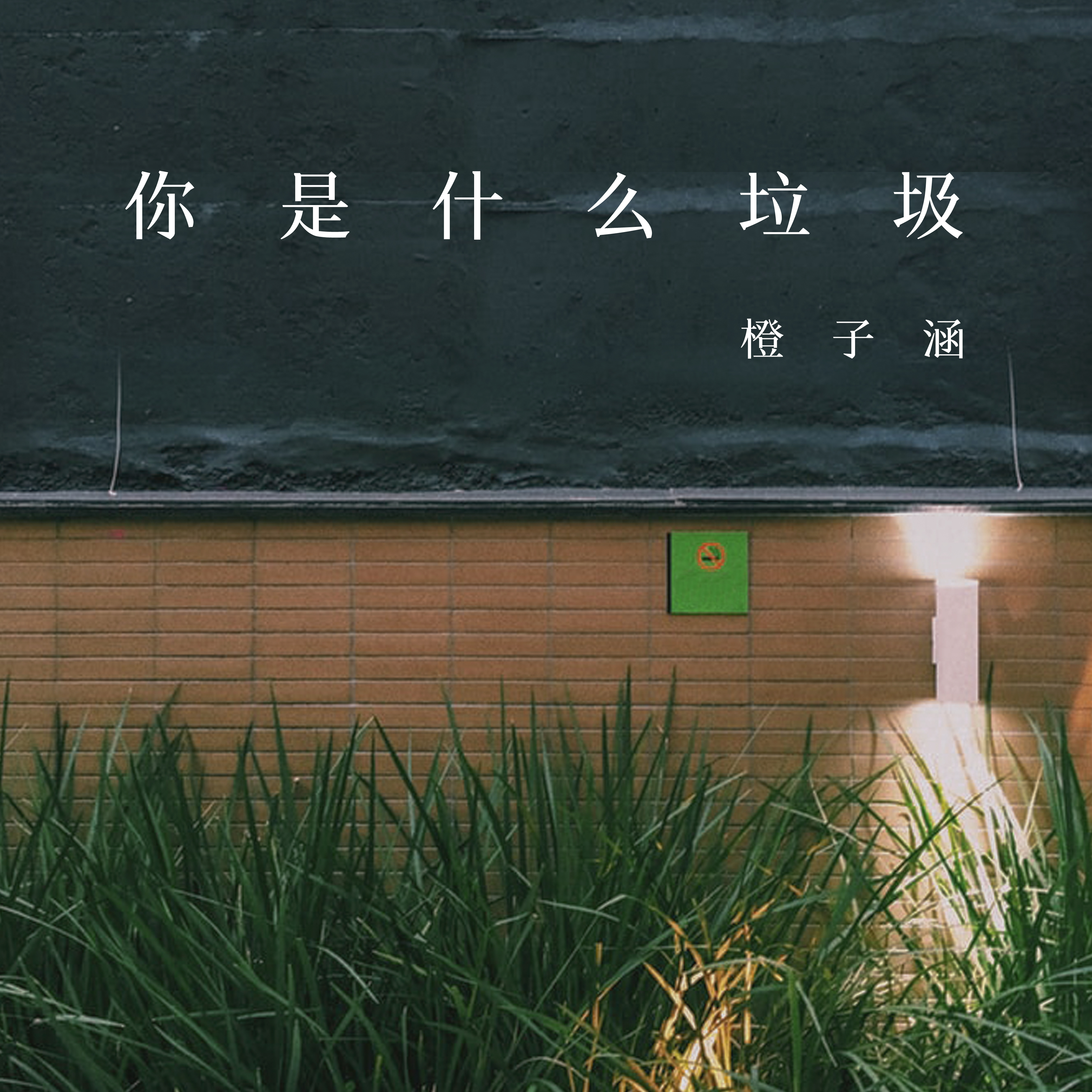 ni shi shen me la ji