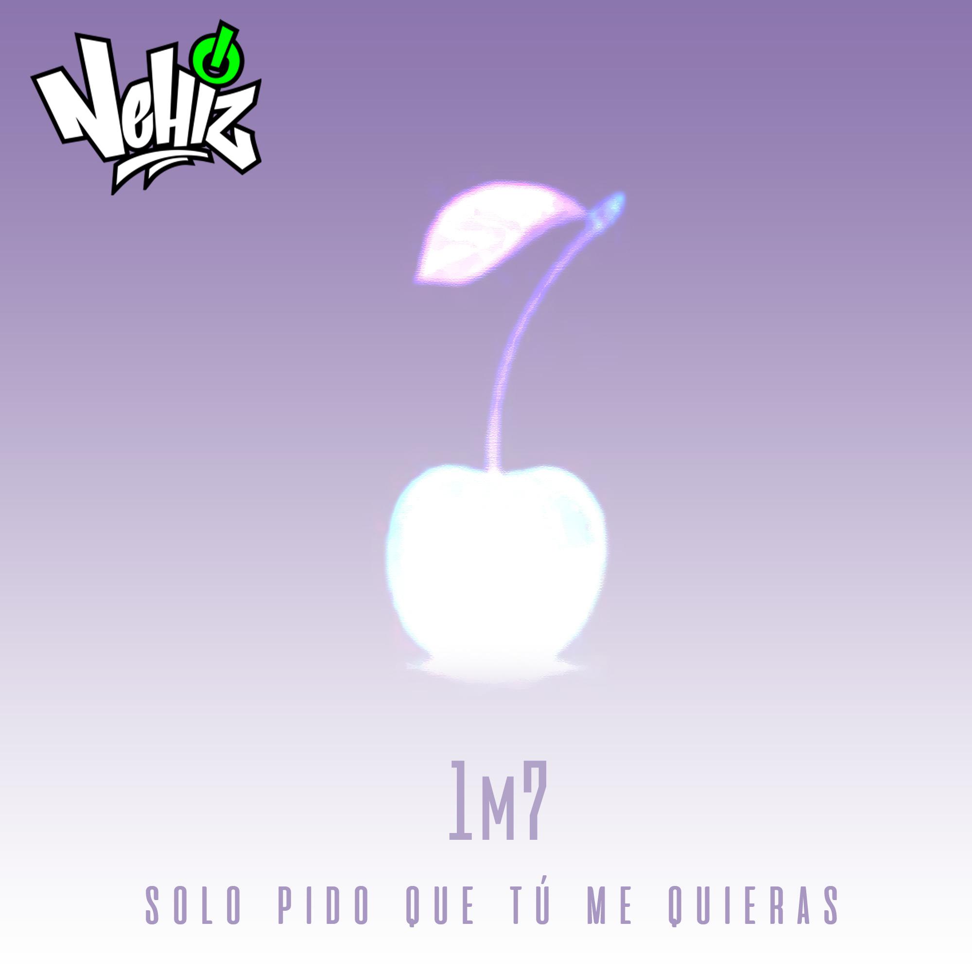 Solo Pido Que Tu Me Quieras