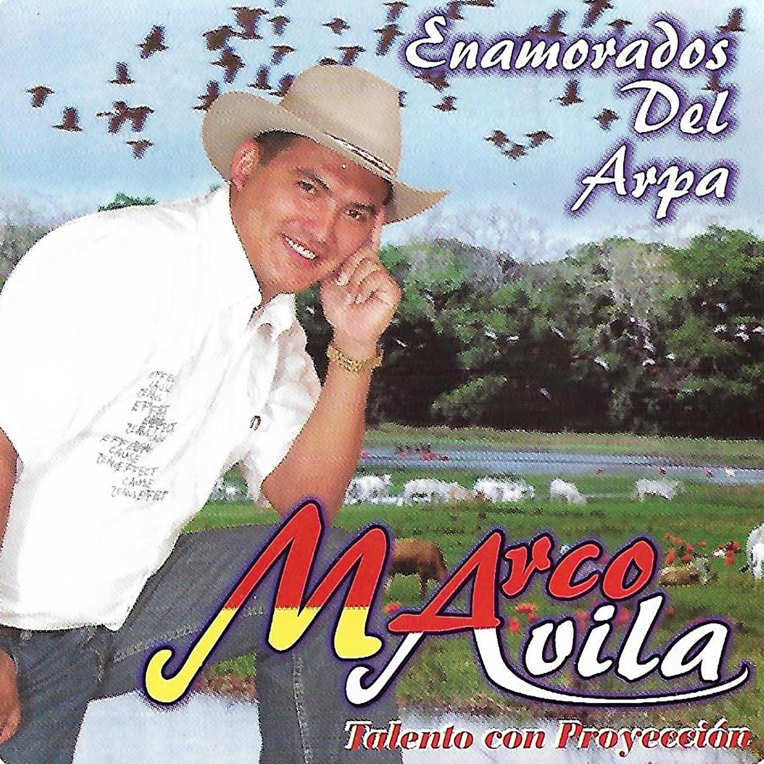 Enamorados del Arpa