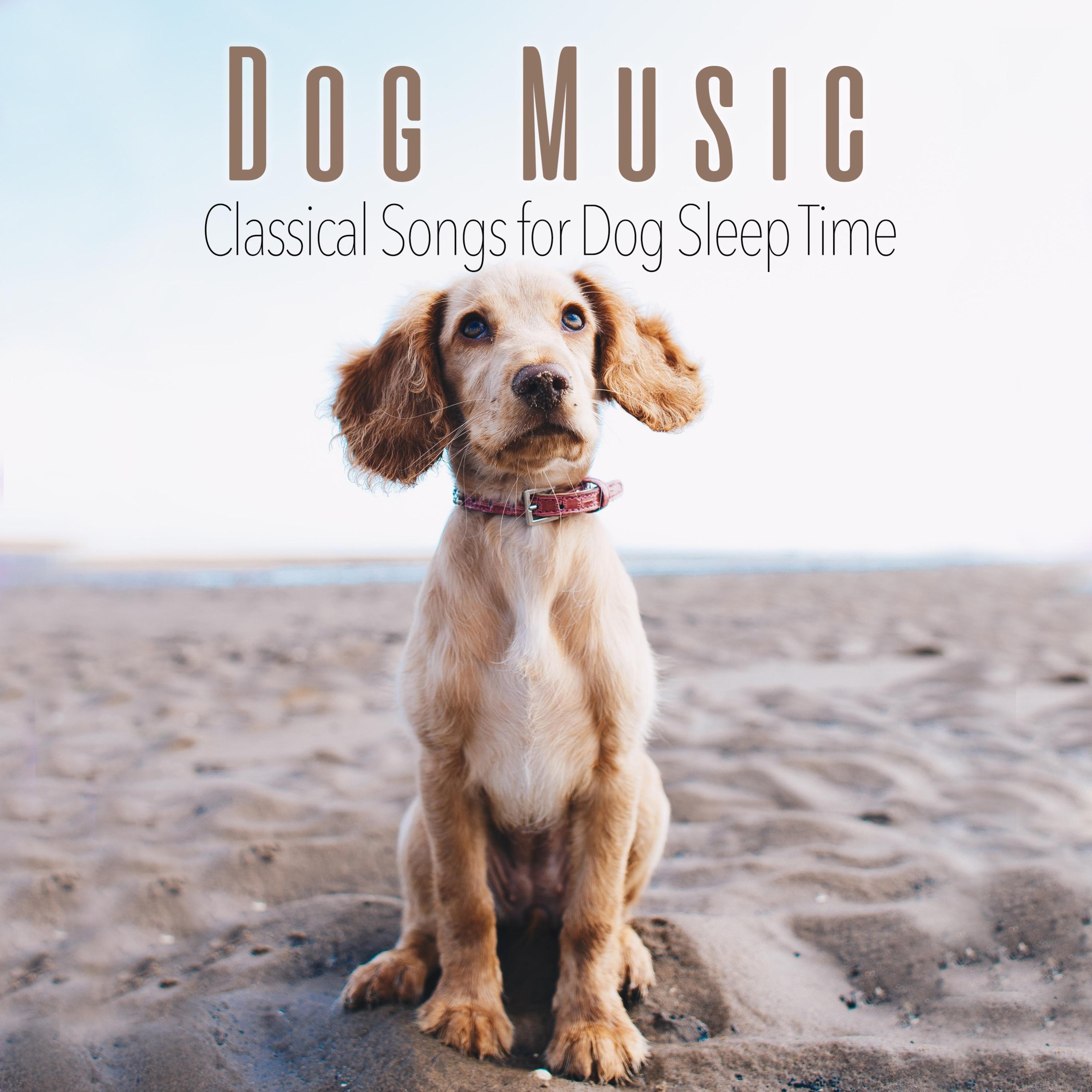 Dog Music: Classical Songs for Dog Sleep Time