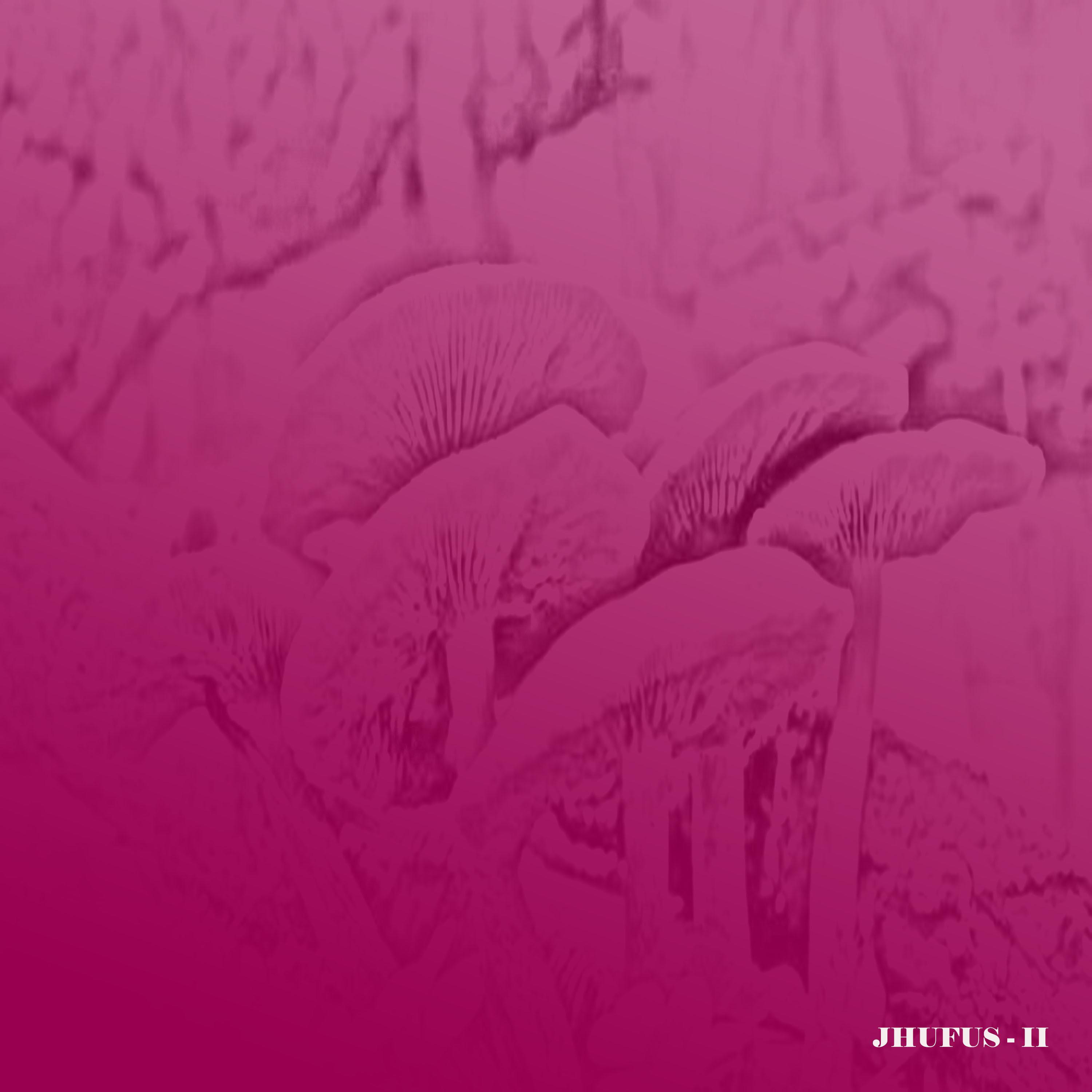 The Almighty Tiger Nut