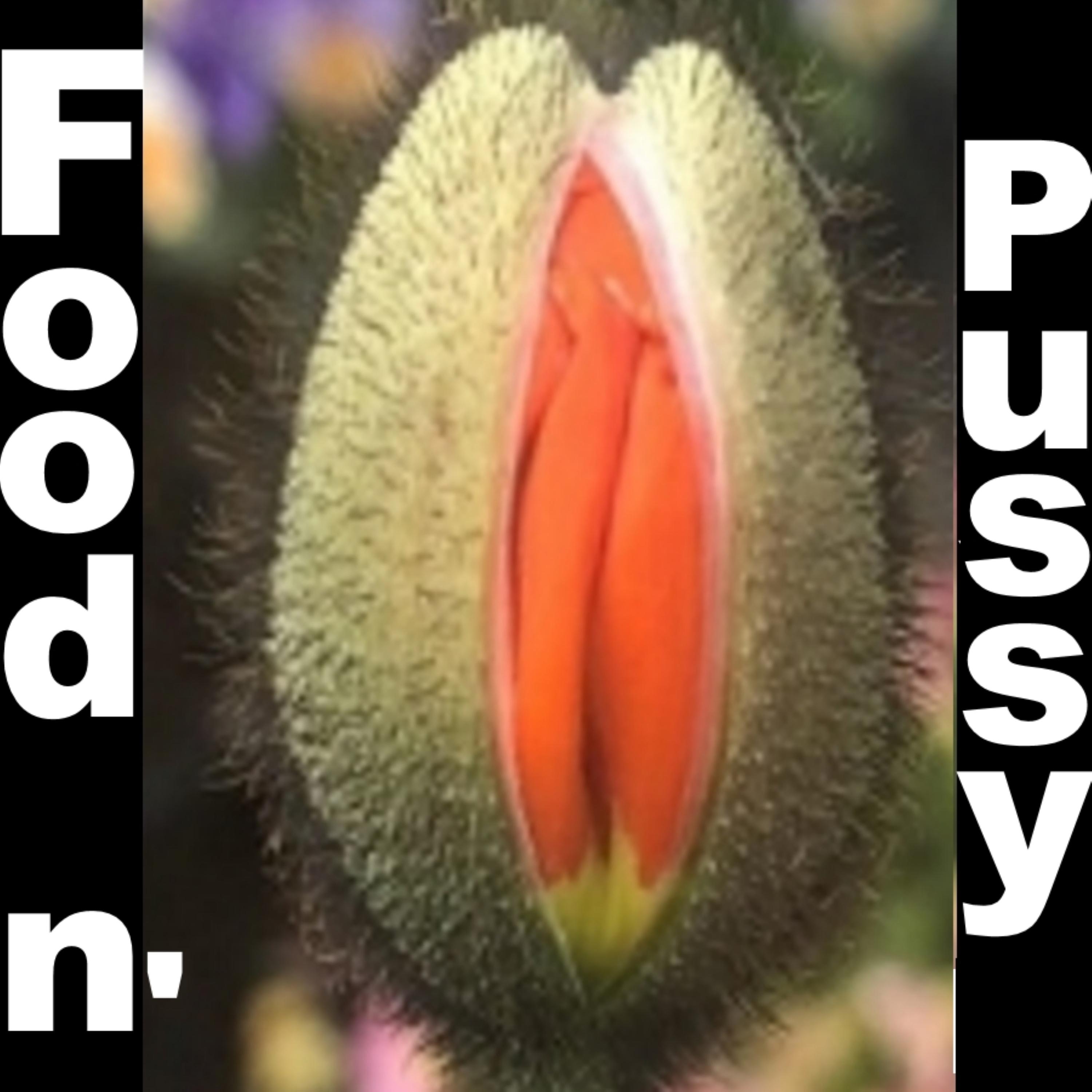 Food n' Pussy