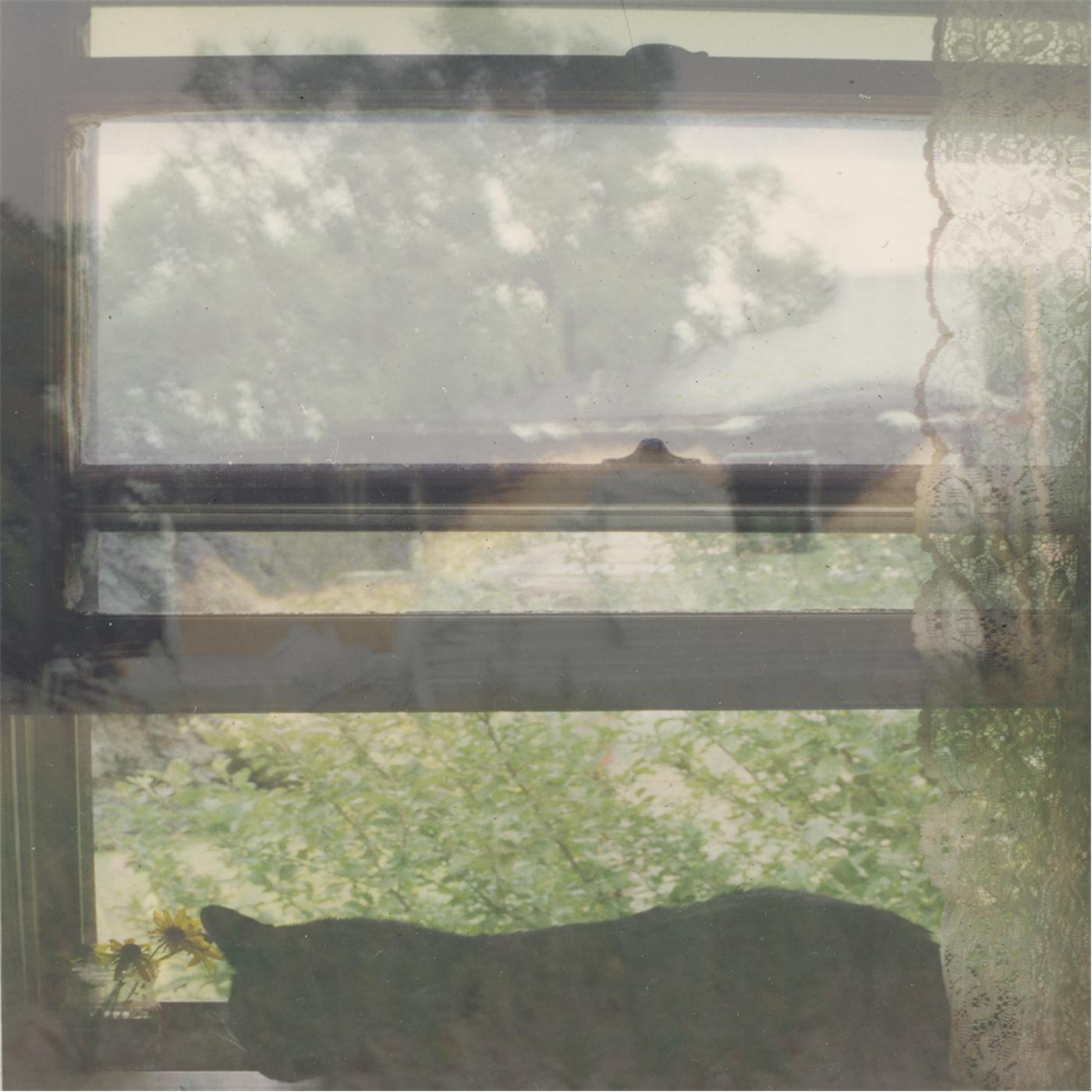 Filling Up the Wading Pool, Playing Outside All Day