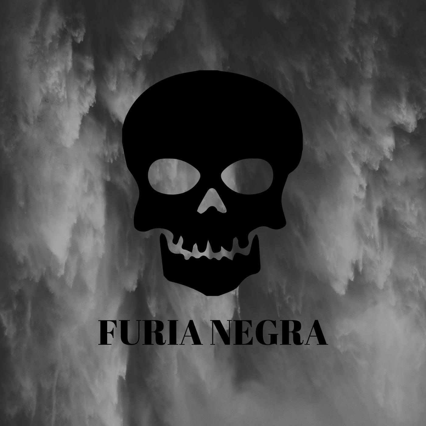 Furia Negra