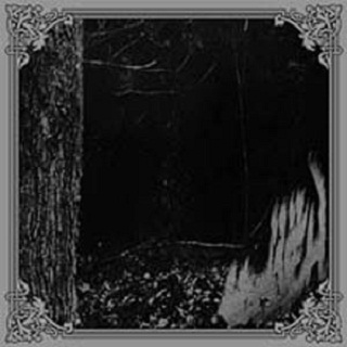 Chase You In The Night