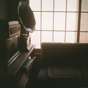 rustle of leaves (after sunset)