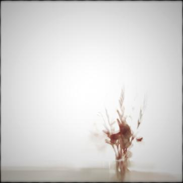 Walking in the Earth Lights (flica Remix)