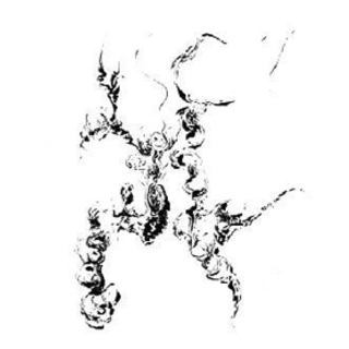 ji tian he zhi xu wu zhi xu qi pei 7