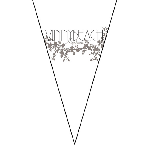 VINNYBEACH jia kong hai an