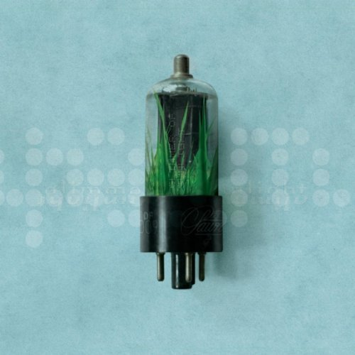 I Colored the Arctic White