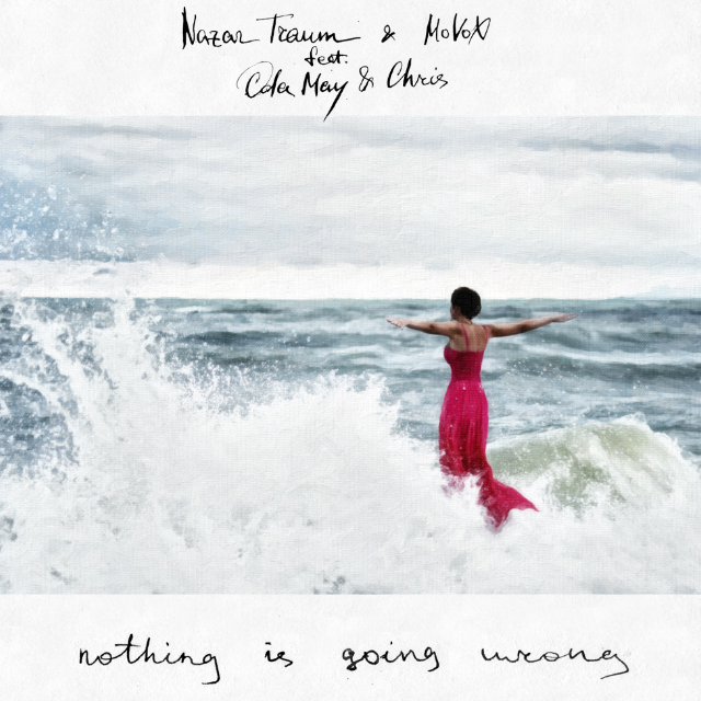 Nothing is Going Wrong