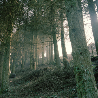 Life Size Ghosts (Hiatus Remix)