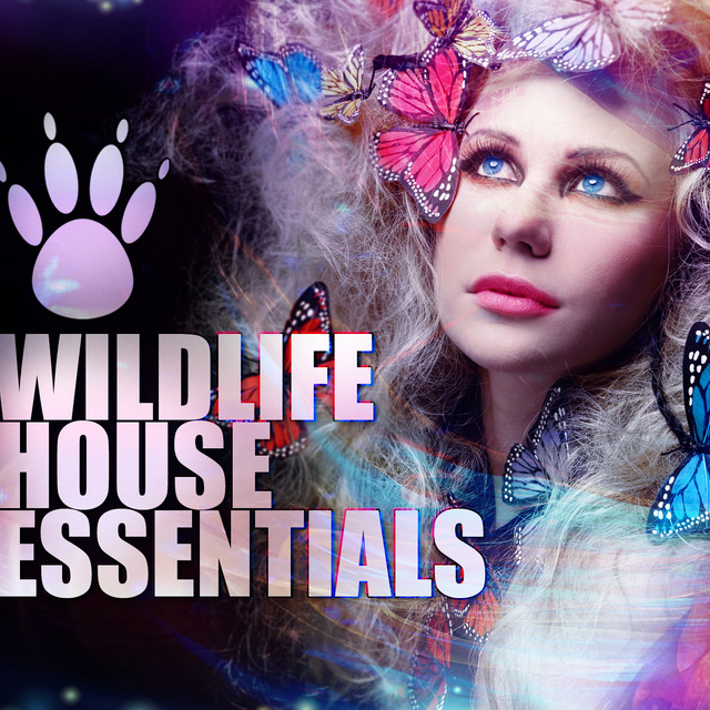 Wildlife House Essentials