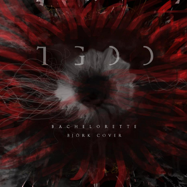 Bachelorette Bj rk Cover