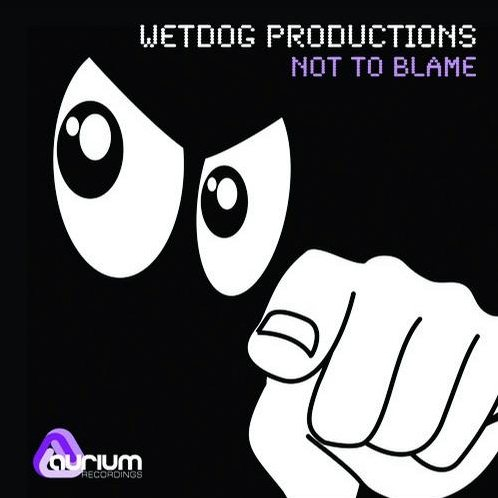 Not to Blame (Original Mix)