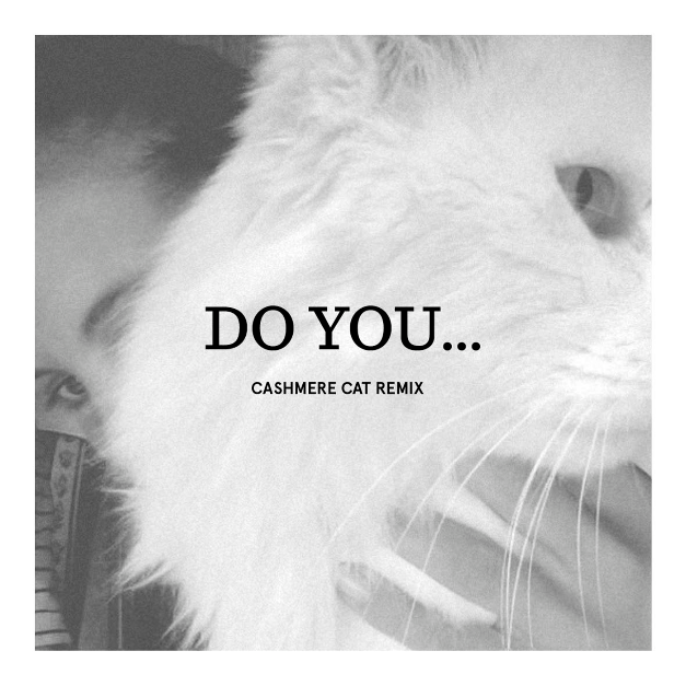 Do You... (Cashmere Cat remix)