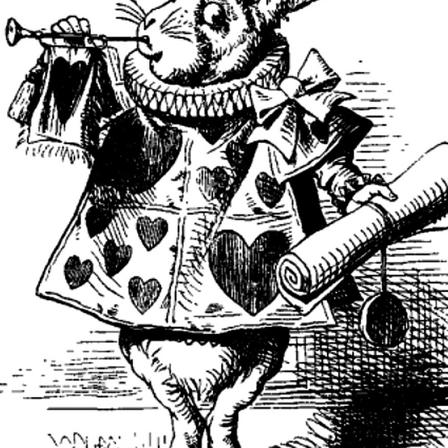 Song for the stray cat on the fence