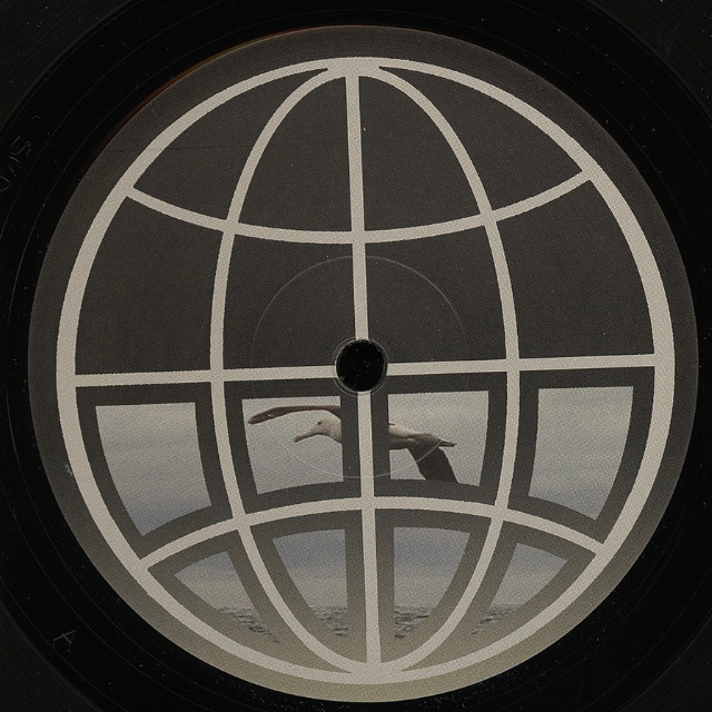 Albatross (Kowton Remix)