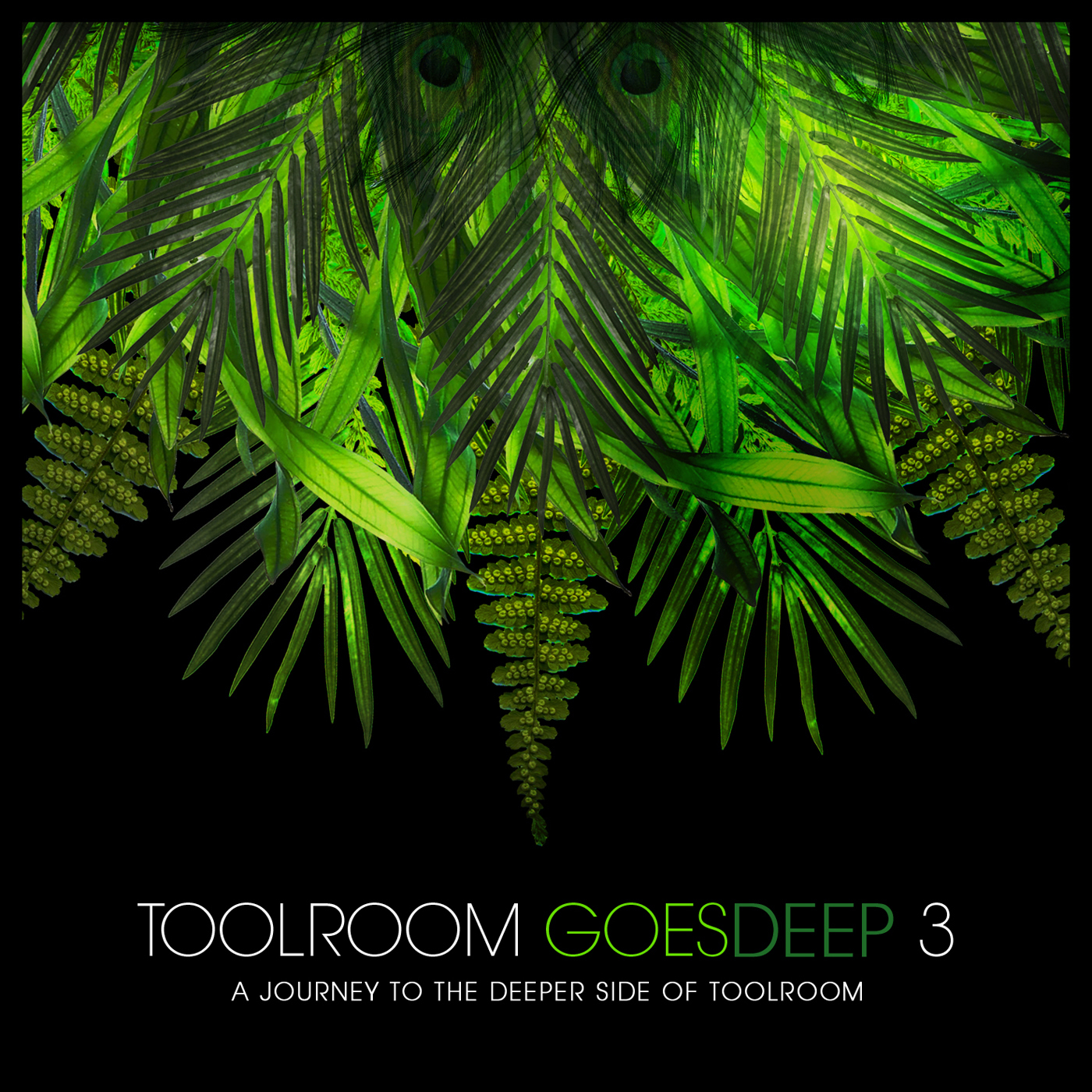 Toolroom Goes Deep 3 (DJ Mix 1)