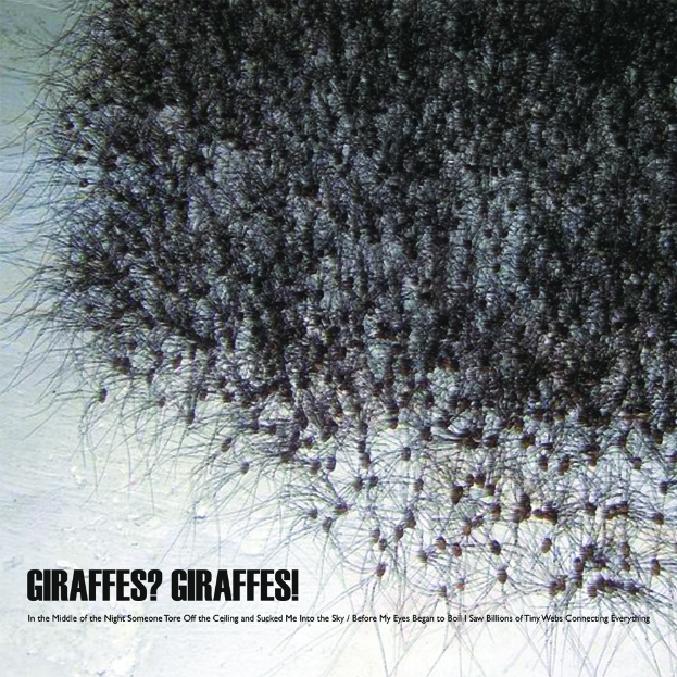 In The Middle Of The Night Someone Tore Off The Ceiling And Sucked Me Into The Sky / Before My Eyes Began To Boil I Saw Billions Of Tiny Webs Connecting Everything