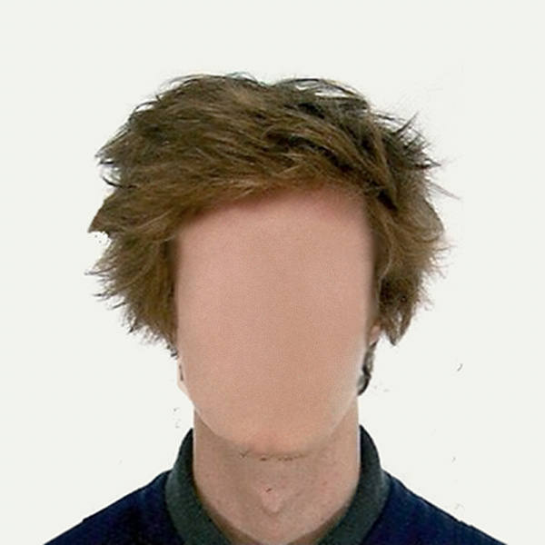 noah's ark (with holobody)