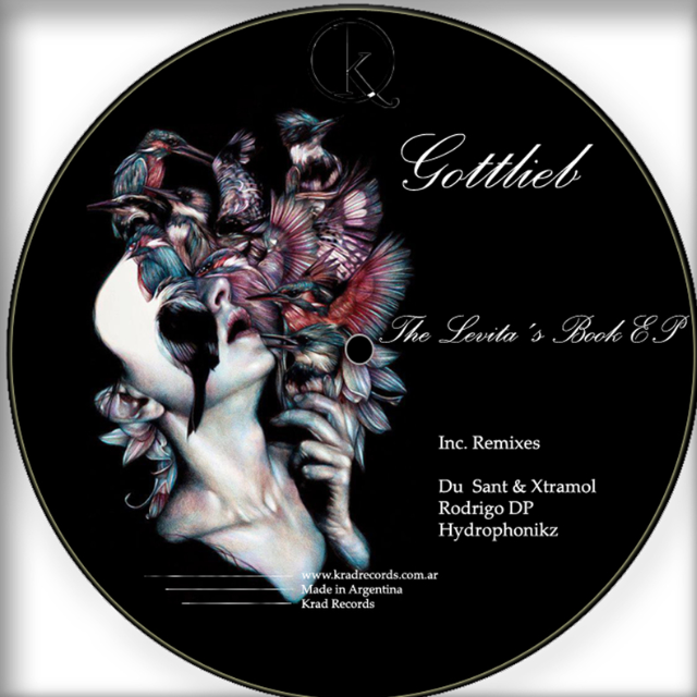 the levita's book (rodrigo dp remix)