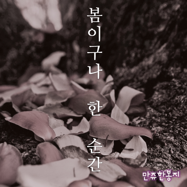 chun tian de shun jian