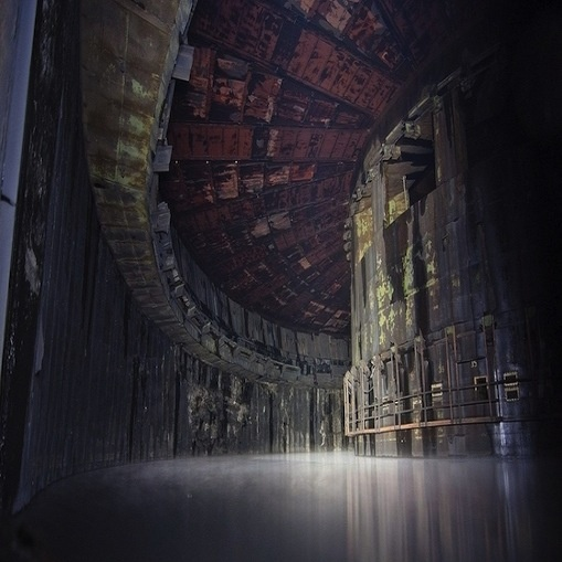 Half-Plastic Denizen