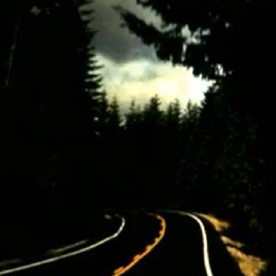 Riding With The Underdog