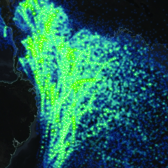 Thank You For Letting Me Be Myself