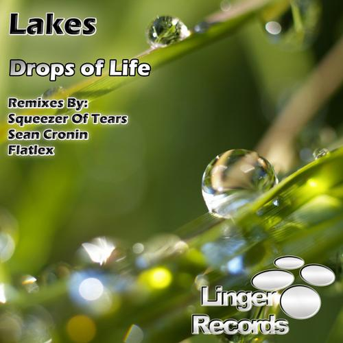 Drops Of Life (Sean Cronin Toasty Remix)