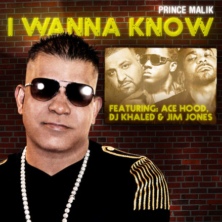 I Wanna Know (Remix) 