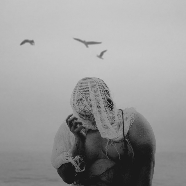 A Gospel of Elephants/Hpssos