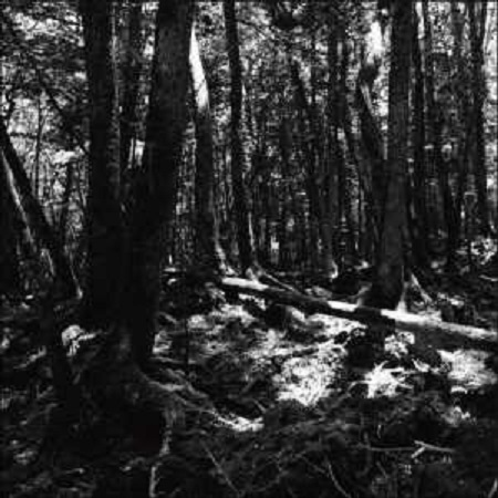 tasogare perspective