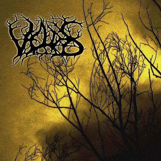 Featherless Across The Burnt Skies