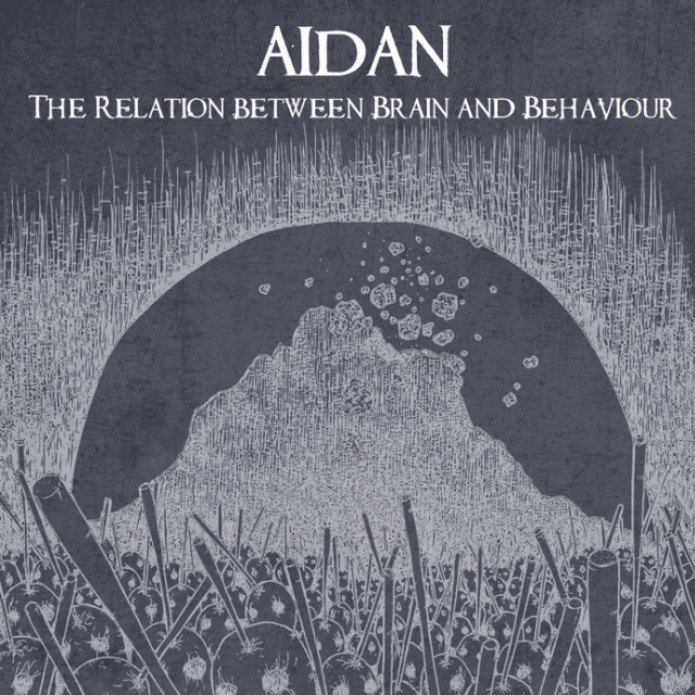 Pulse 60, and regular