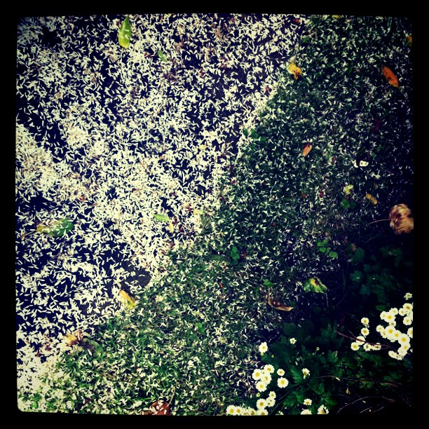 It's Lonely Around People, Too [Single]