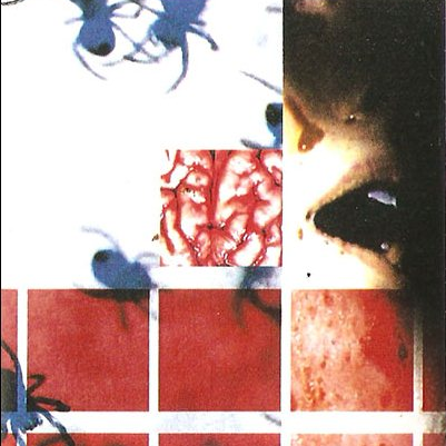 Manipulated Memories c47