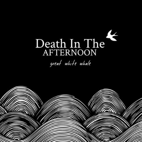 Why Do I Always Fail?