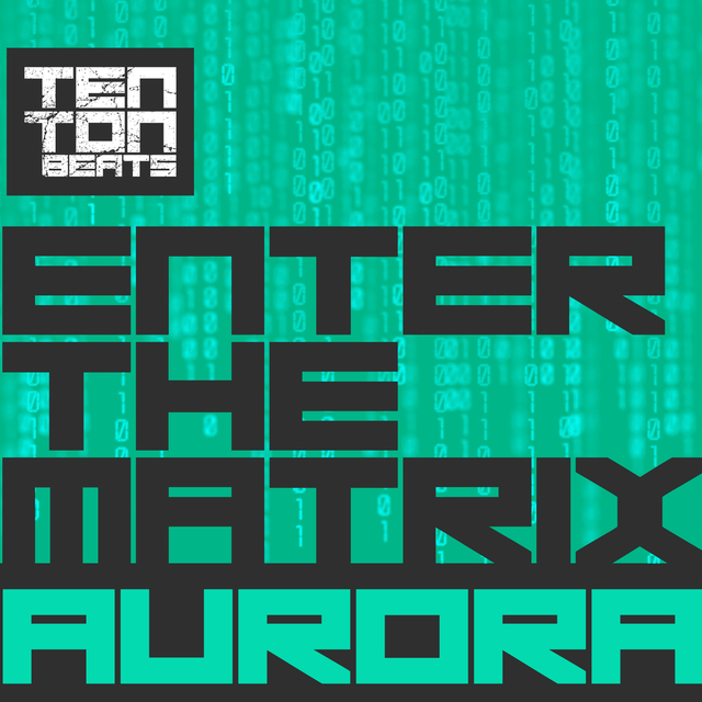 Enter the Matrix / Aurora - [TTB026]