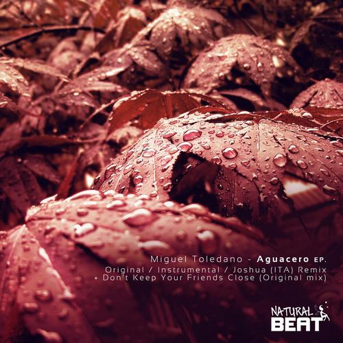 Aguacero (Original Mix)