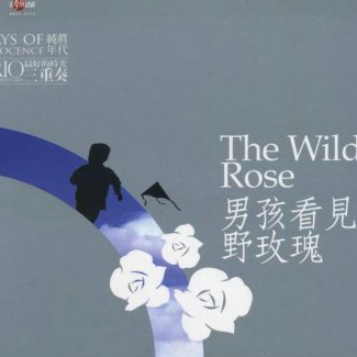 xia ri zui hou de mei gui