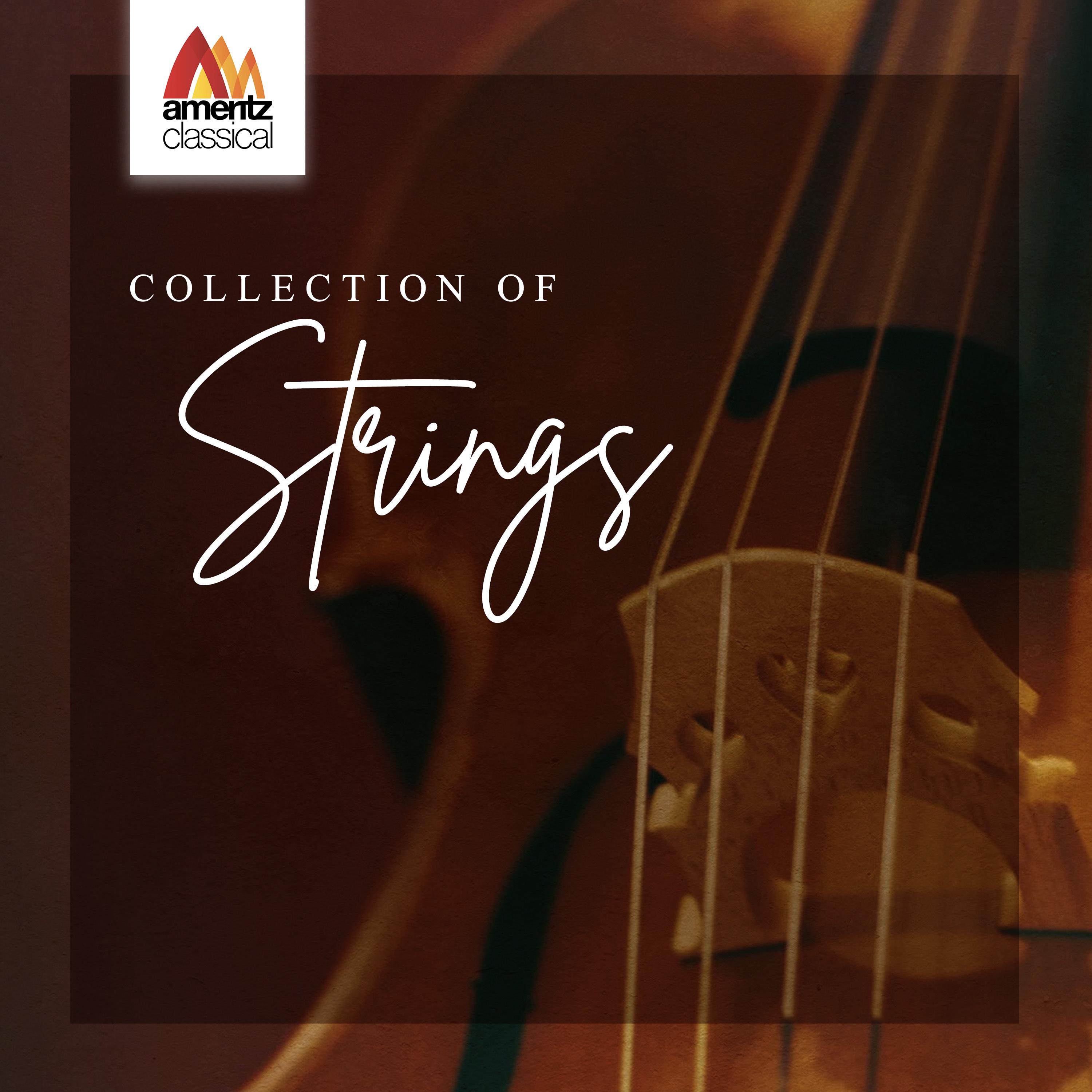 Movement for String Quartet