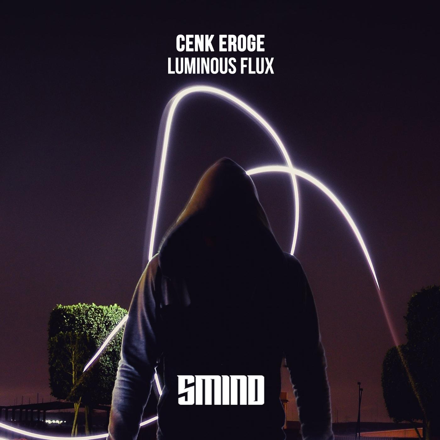 Luminous Flux