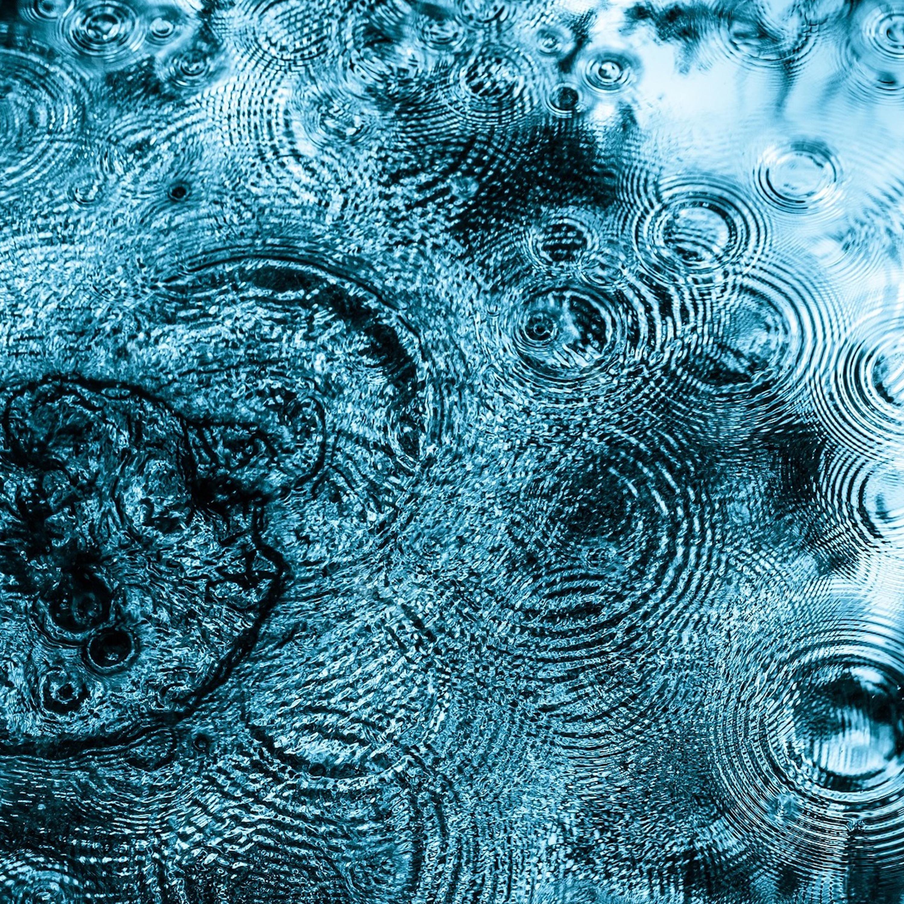 Shower Raindrops