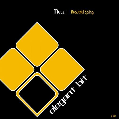 beautiful spring (original mix)