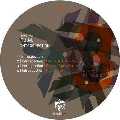 Introspection (George Apergis Remix)