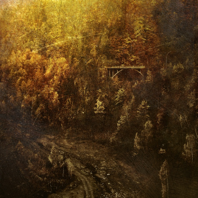 To Drown in Hoary Grass